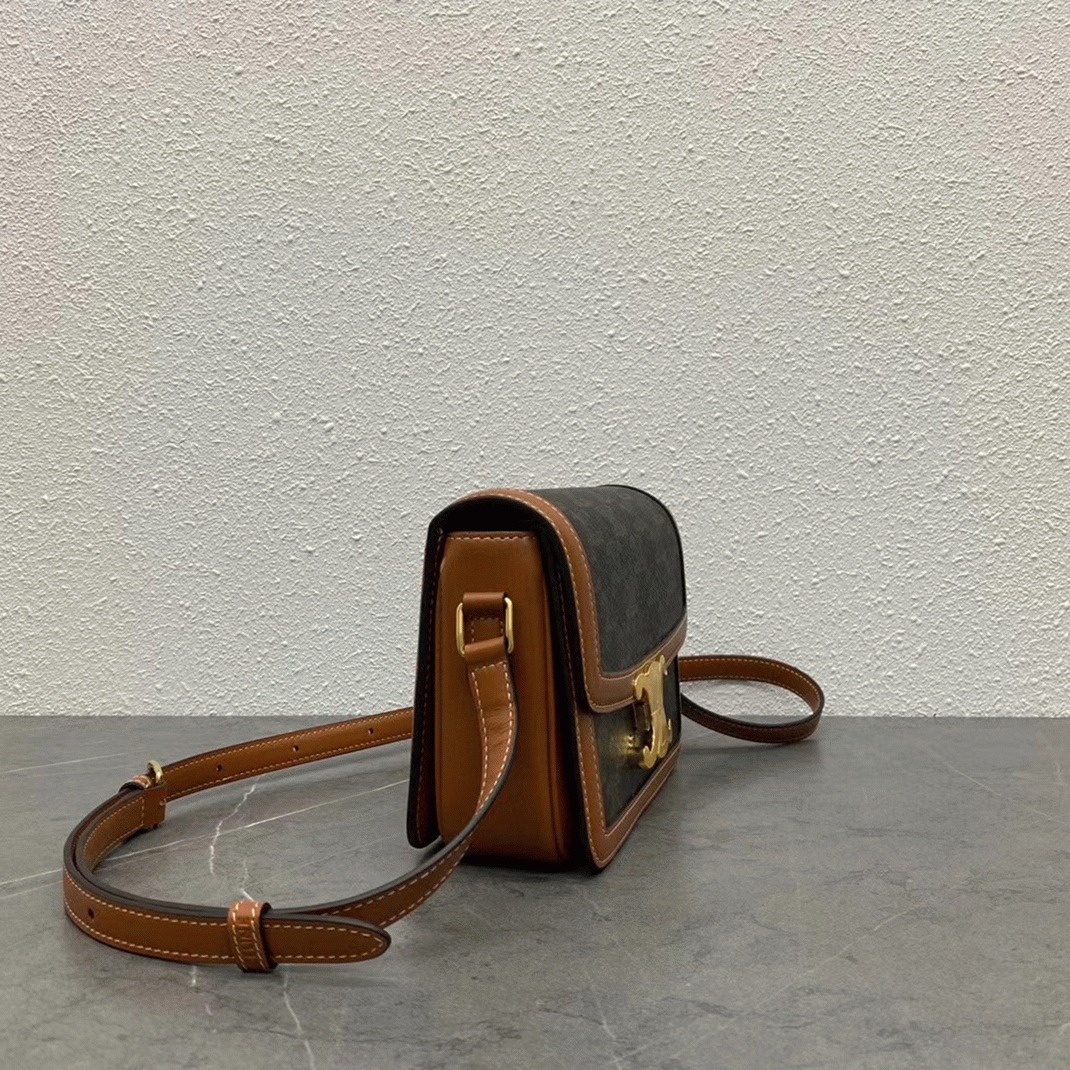 Top Quality Replica Celine Triomphe Teen Bag In Black Triomphe Canvas angle 2