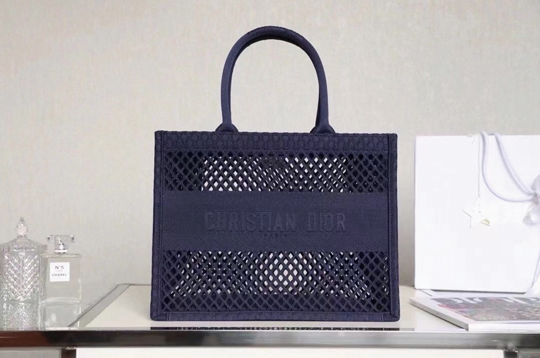 Dior Large Book Tote Bag Replica in Blue Mesh Embroidery angle 5