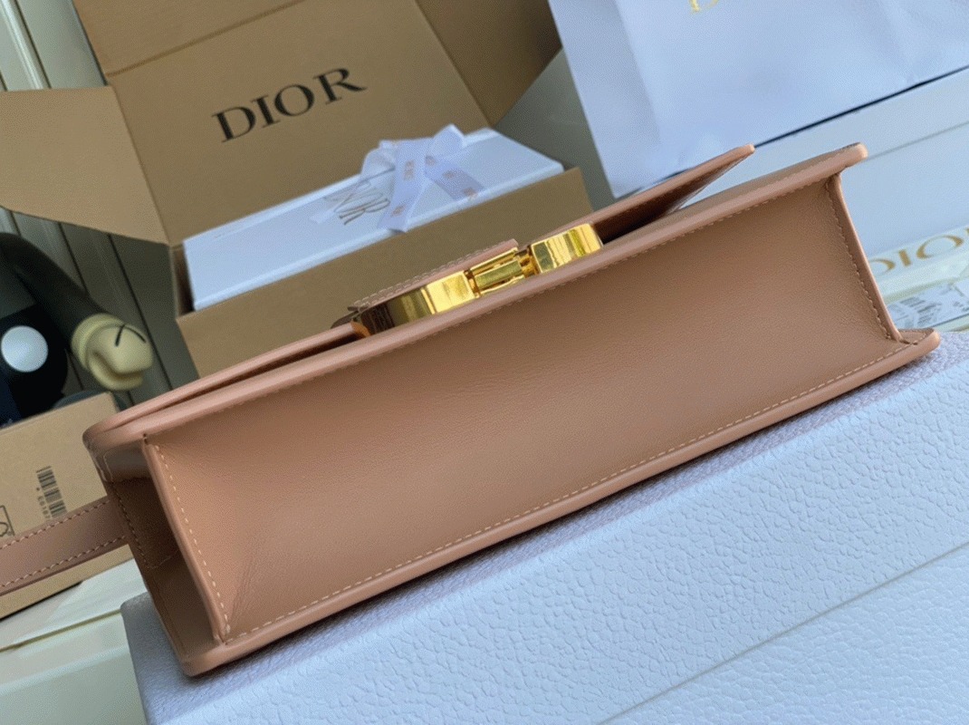 Dior 30 Montaigne Medium Bag Knockoff in Poudre Box Calfskin angle 2