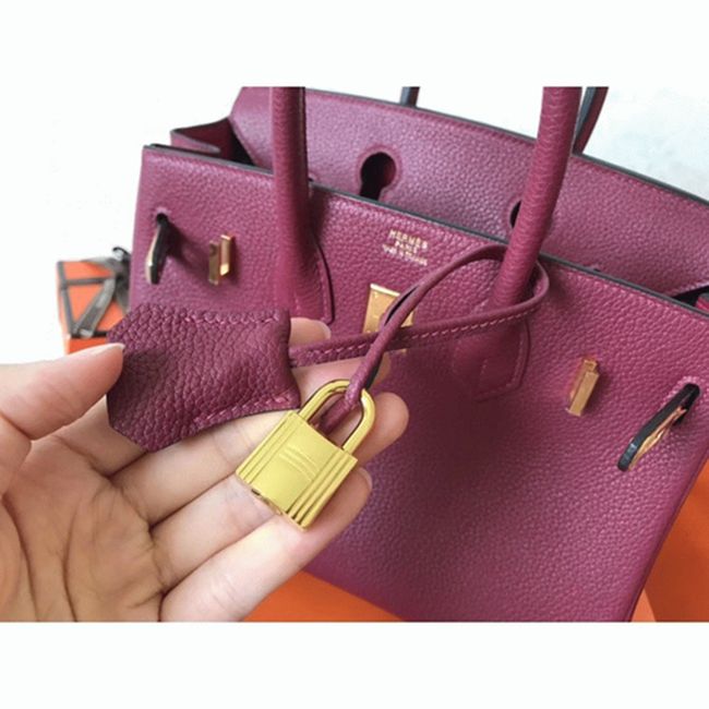 Ruby Hermes Birkin 25cm AAA Replica Handbag angle 3