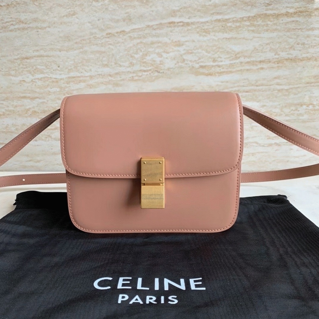 Top Quality Replica Celine Classic Box Teen Bag In Antique Rose angle 5