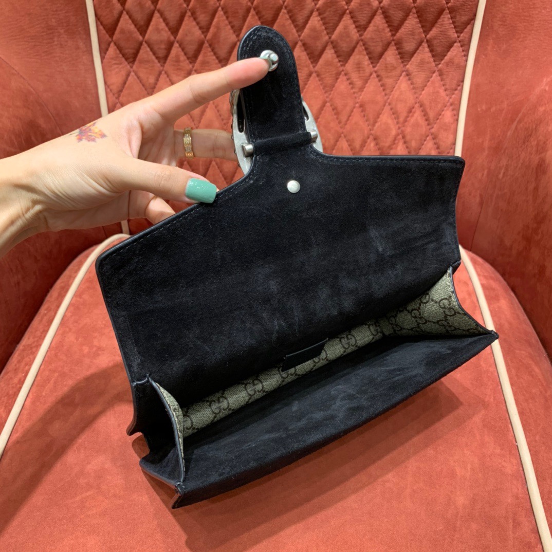 Dionysus Classic bag angle 5