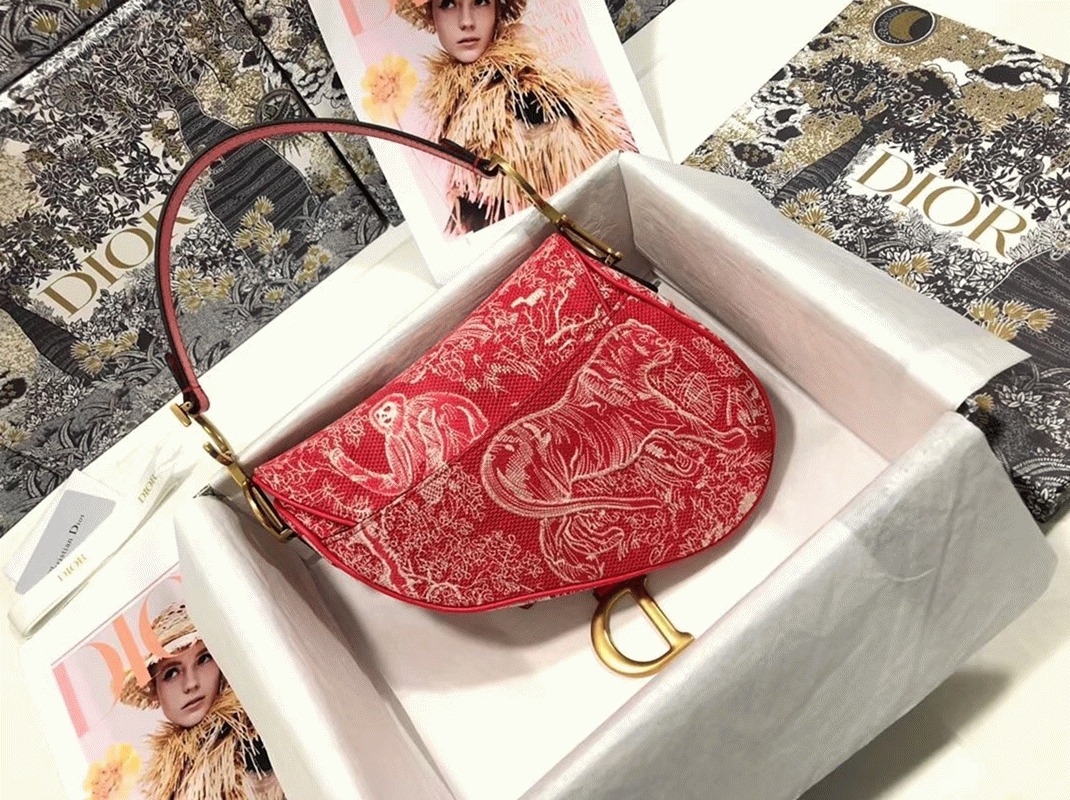 Dior Saddle Bag Imitation in Red Toile de Jouy Reverse Jacquard angle 2