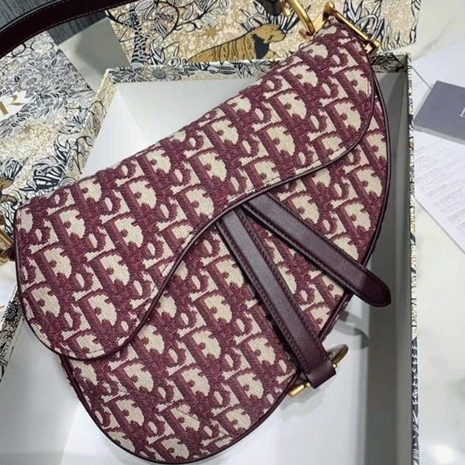 Dior Saddle Bag Faux in Burgundy Dior Oblique Jacquard angle 5