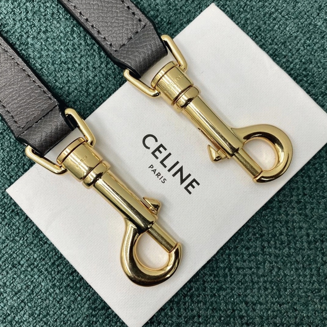 Celine Micro Belt Bag Replica in Grey angle 5