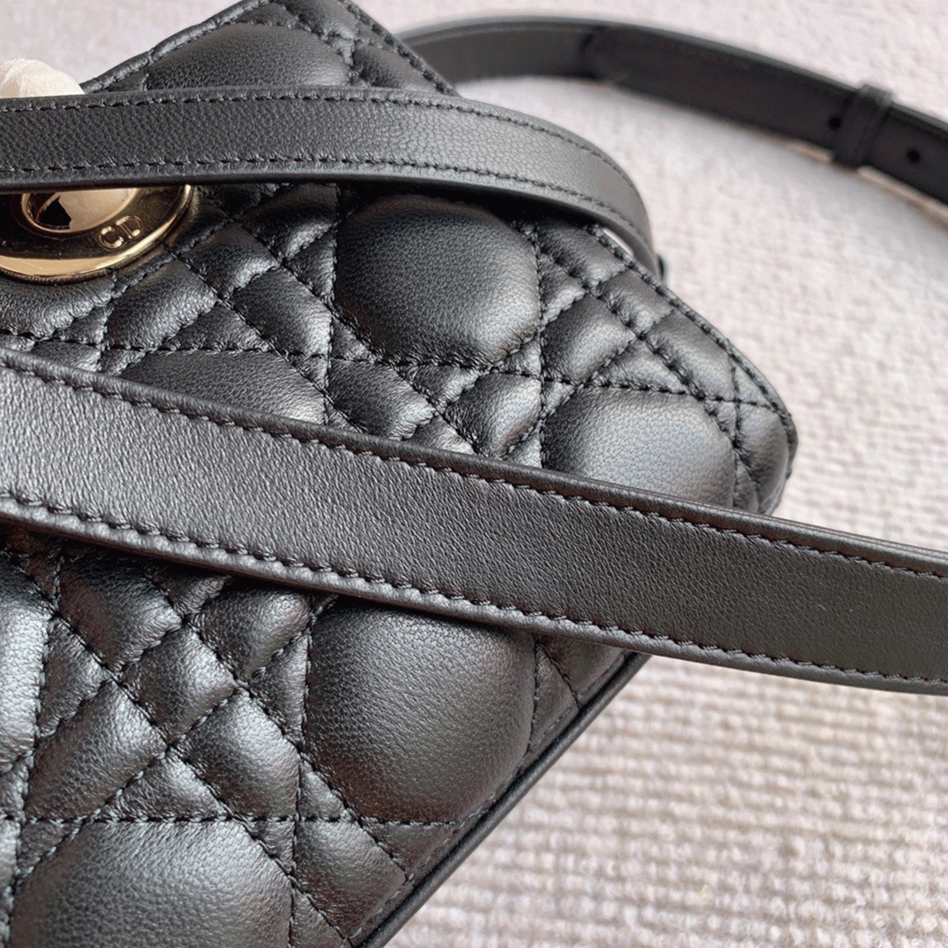 Dior Lady D-Joy Medium Bag Fake in Black angle 3
