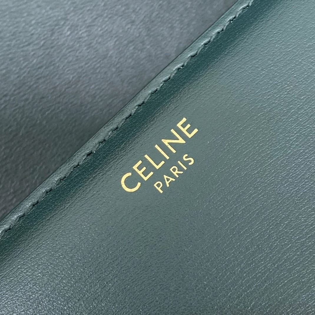 Top Quality Fake Celine Triomphe Medium Bag In Amazone angle 5