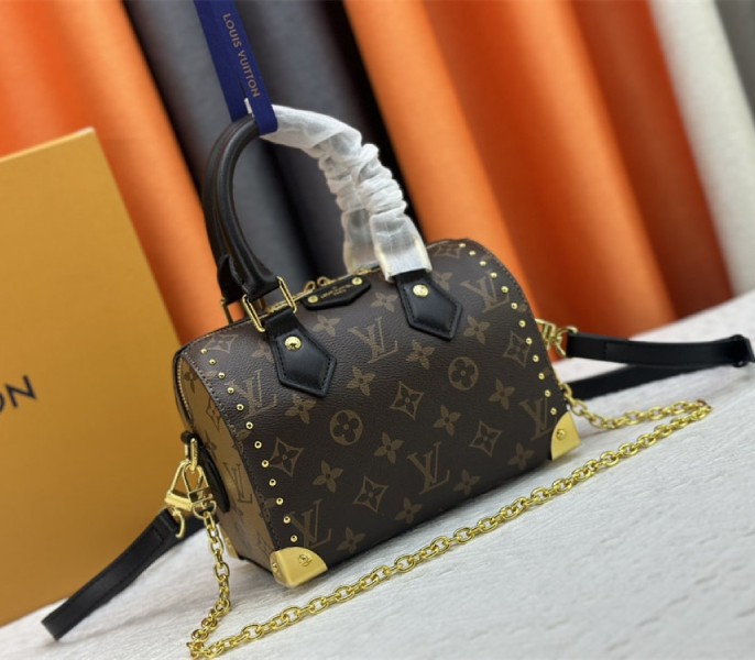 Louis Vuitton Monogram Canvas Cruise 2025 Speedy 20 Trunk Bag In Black angle 2
