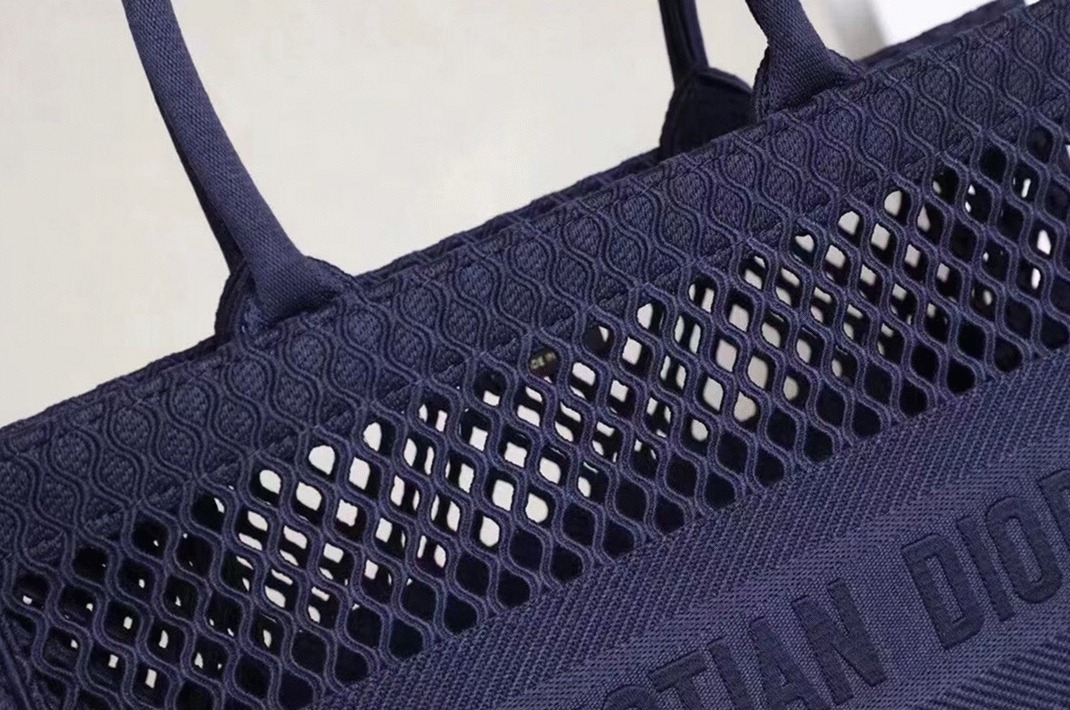 Dior Large Book Tote Bag Replica in Blue Mesh Embroidery angle 3