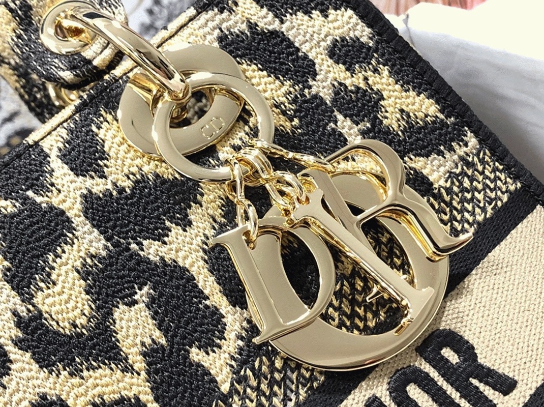 Dior Lady D-Lite Medium Bag Replica in Beige Multicolor Mizza Embroidery angle 4