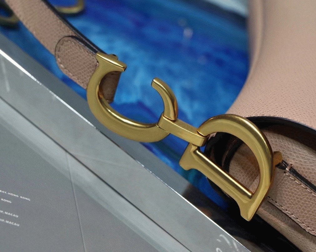 Dior Saddle Bag Fake in Blush Grained Calfskin angle 5