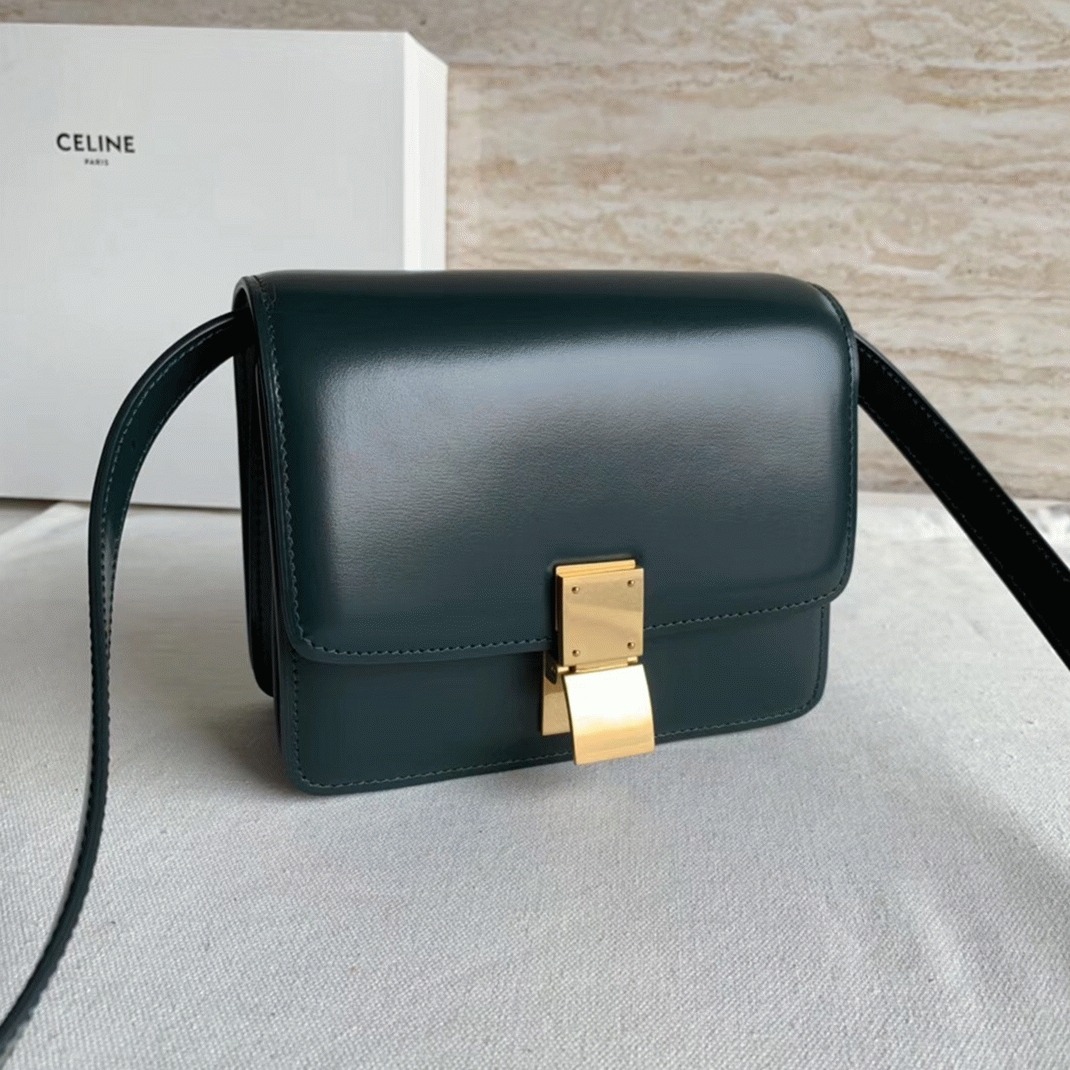 Top Quality Replica Celine Classic Box Small Bag In Amazone angle 4