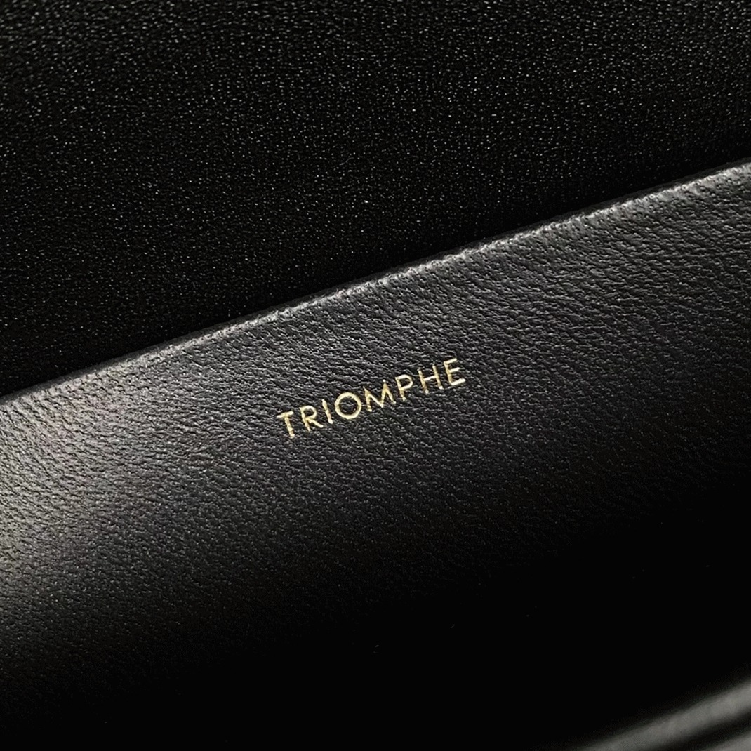 Top Quality Knockoff Celine Triomphe Large Bag In Black angle 3