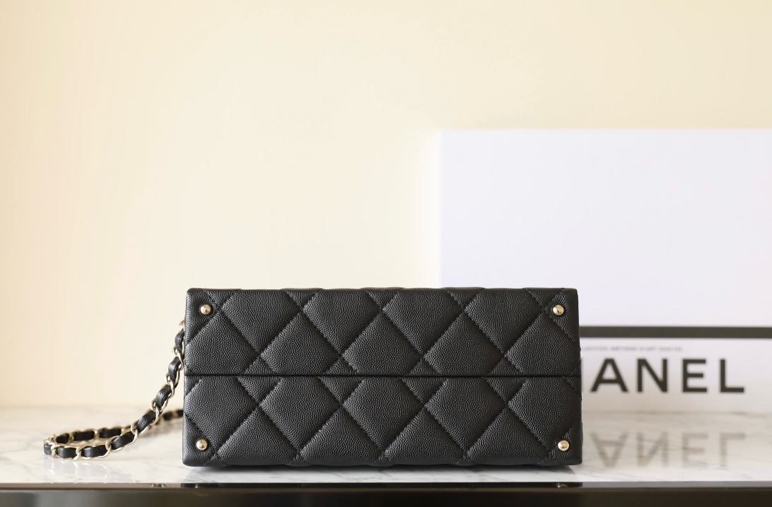 Kelly Handbag angle 5