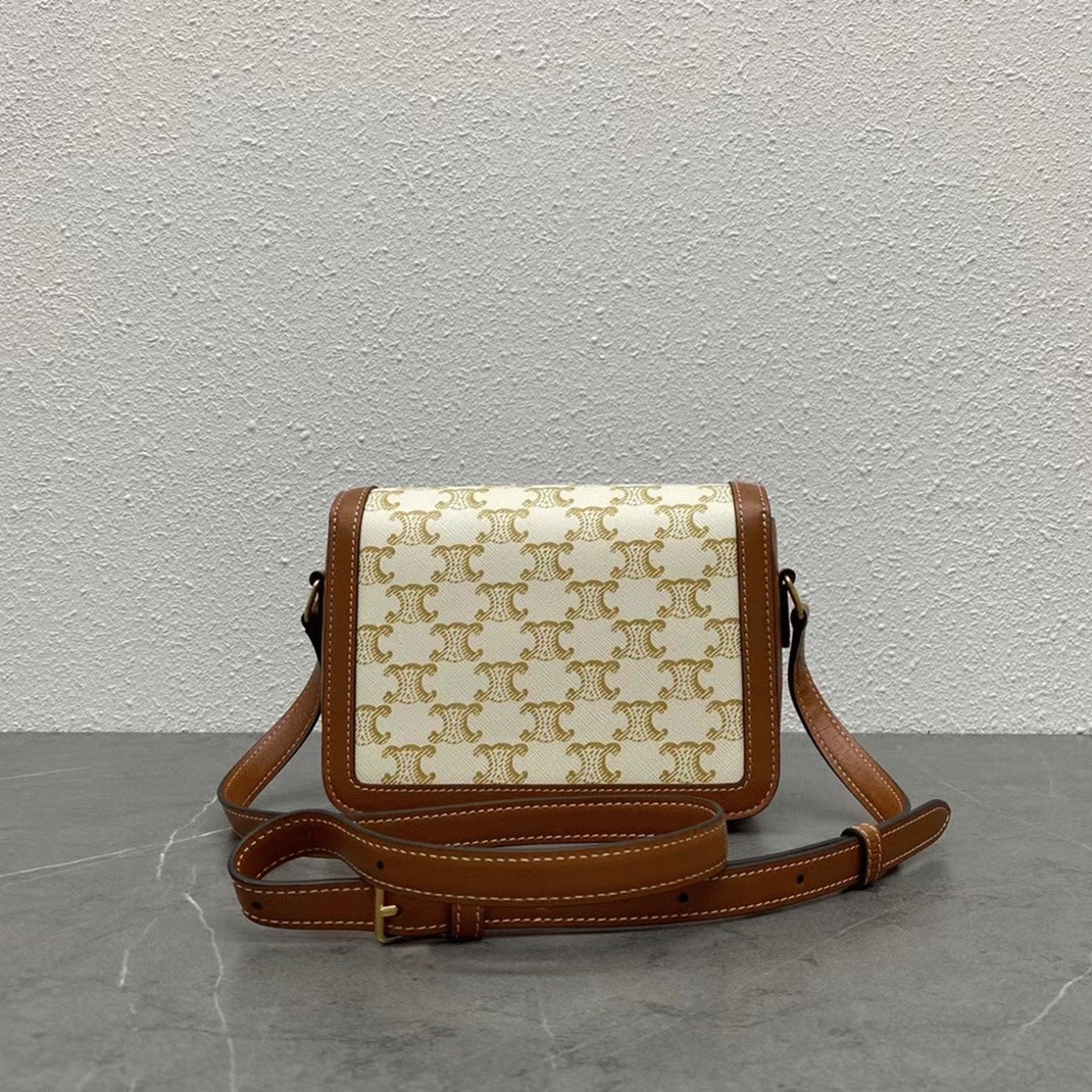 Top Quality Replica Celine Triomphe Teen Bag In White Triomphe Canvas angle 4