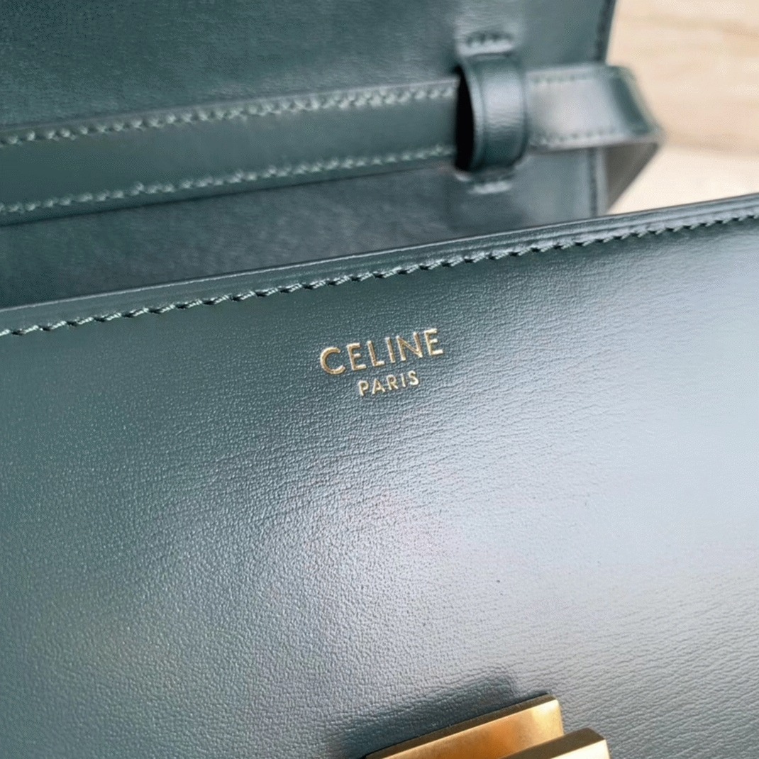 Top Quality Replica Celine Classic Box Small Bag In Amazone angle 3