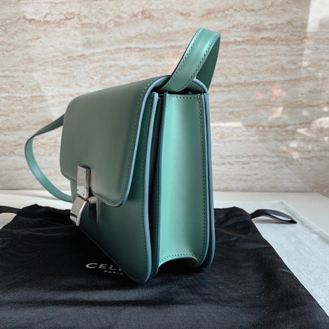 Top Quality Replica Celine Classic Box Medium Bag In Celadon angle 4