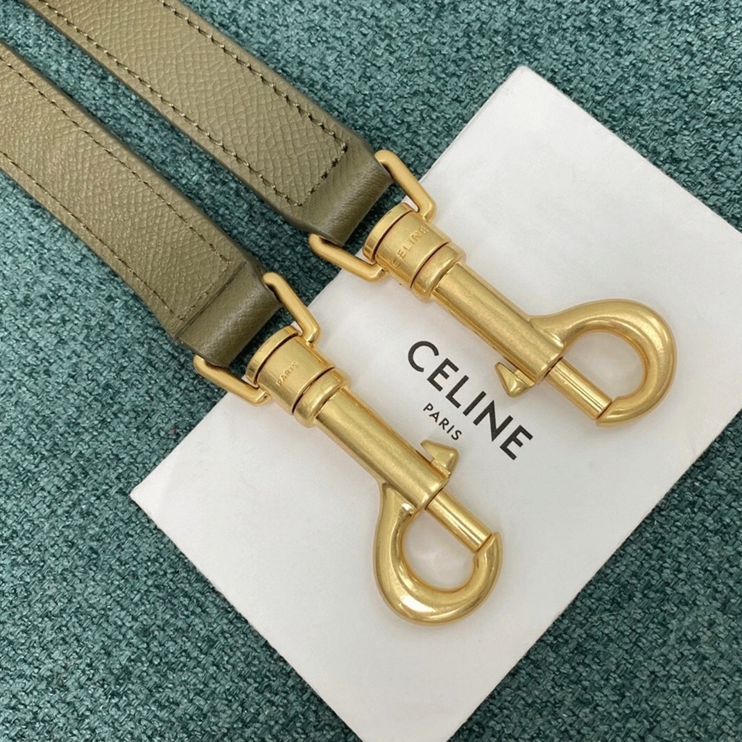 Celine Micro Belt Bag Replica in Dark Olive angle 5