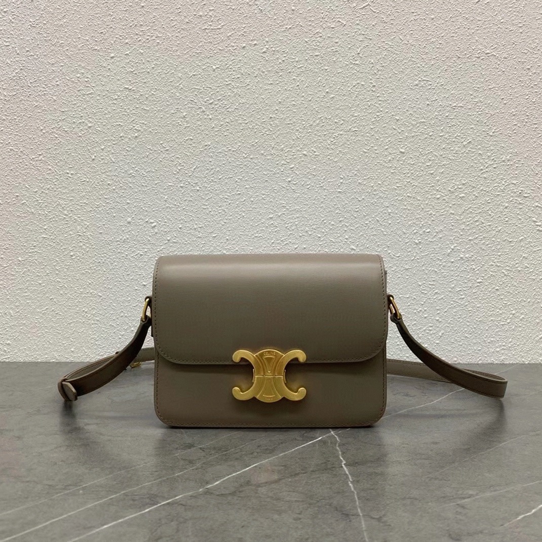 Top Quality Fake Celine Triomphe Teen Bag In Grey angle 5