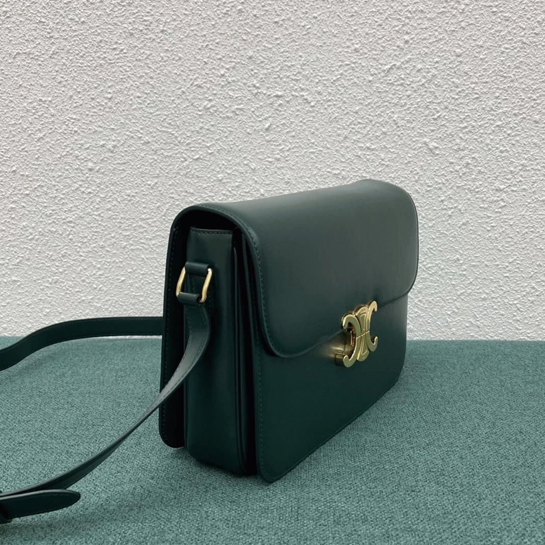 Top Quality Fake Celine Triomphe Large Bag In Amazone angle 4