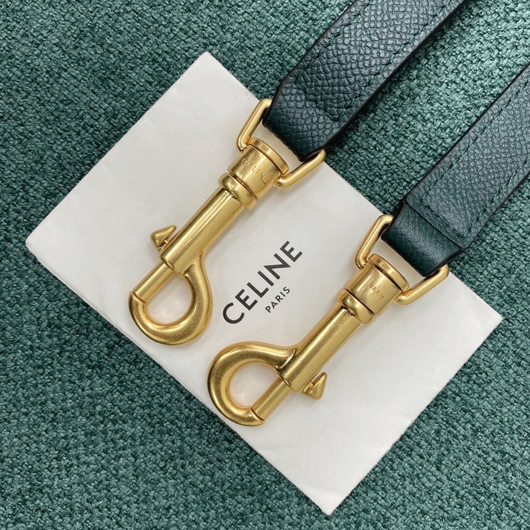 Celine Micro Belt Bag Fake in Amazone angle 2