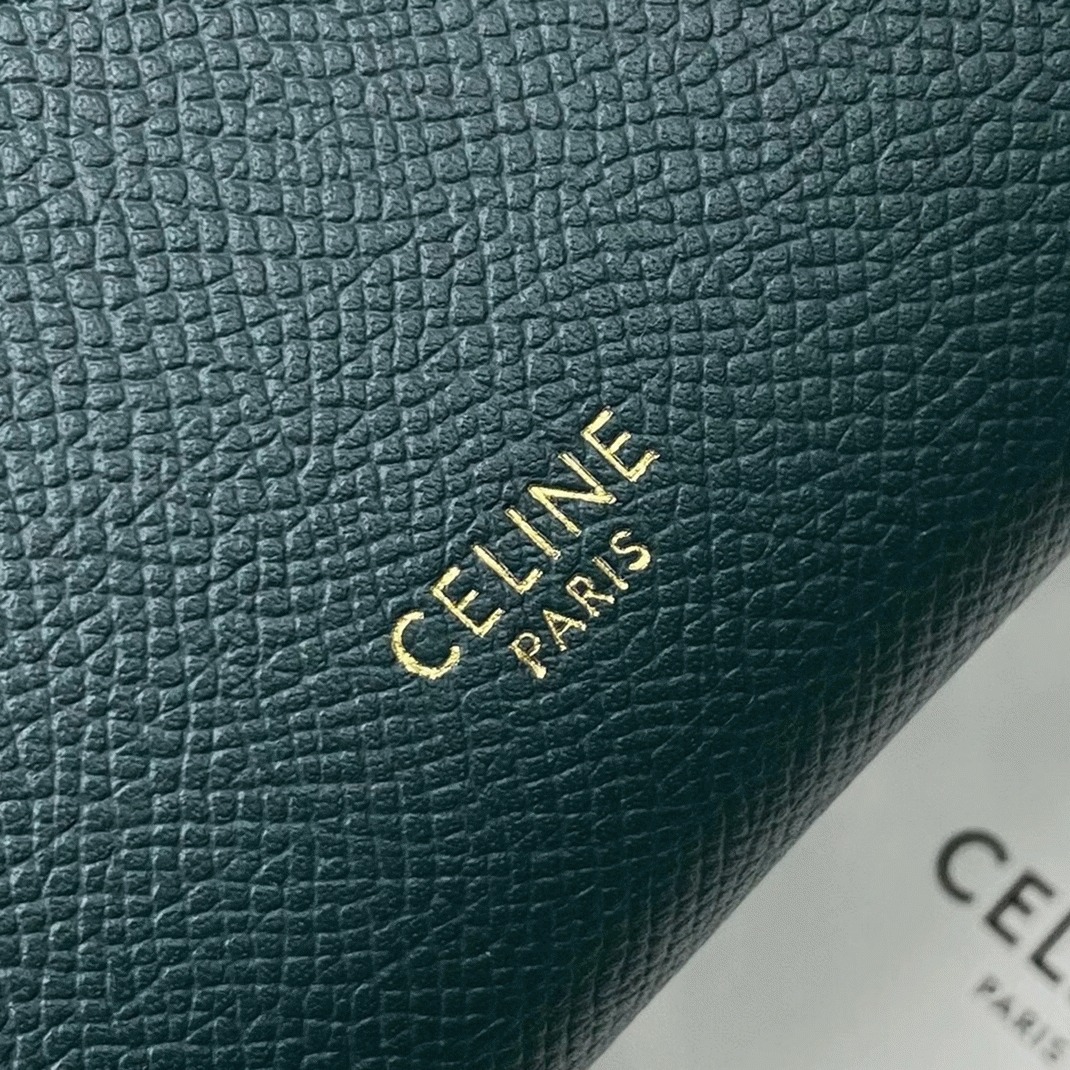 Celine Belt Nano Bag Fake in Amazone angle 2