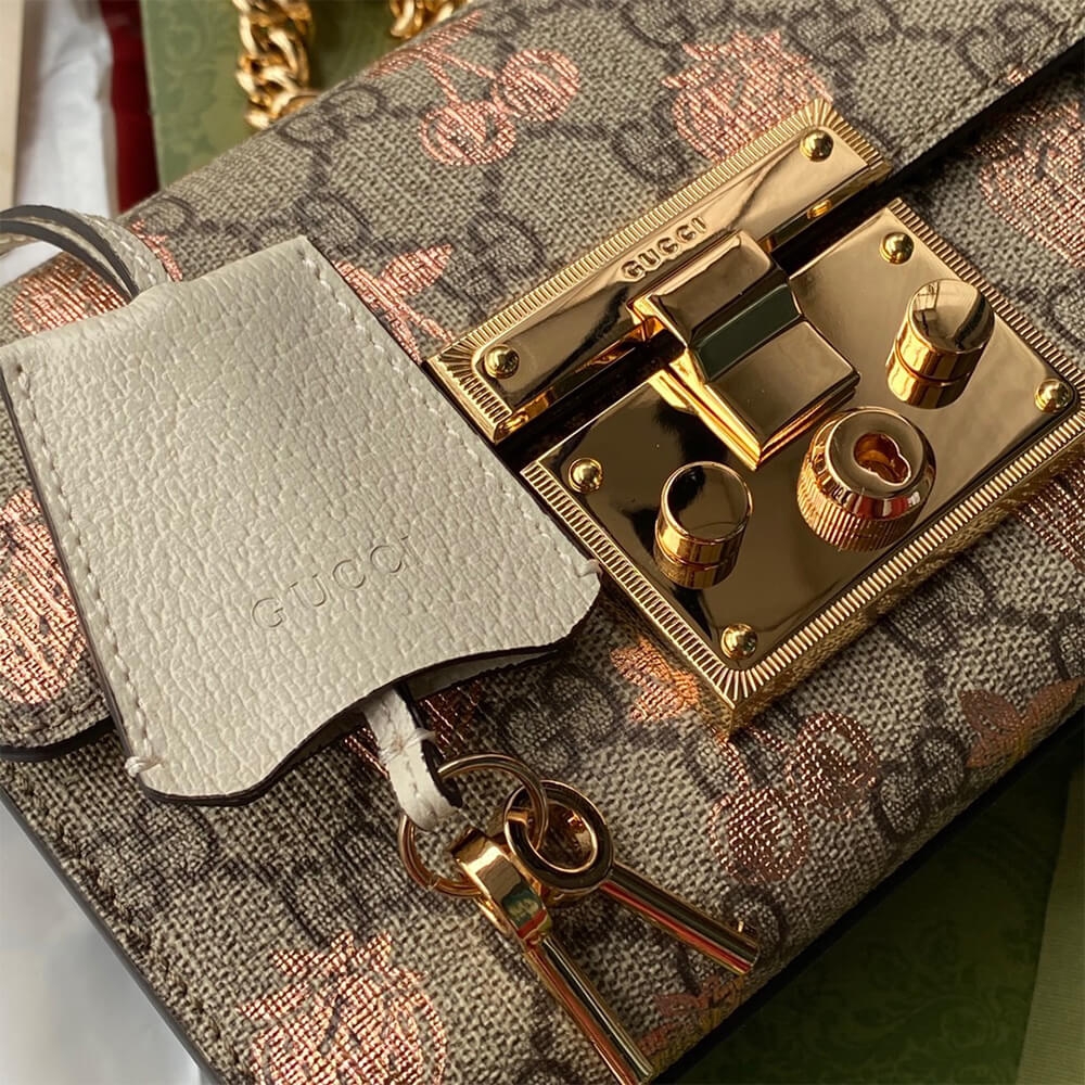 Padlock small berry shoulder bag angle 4