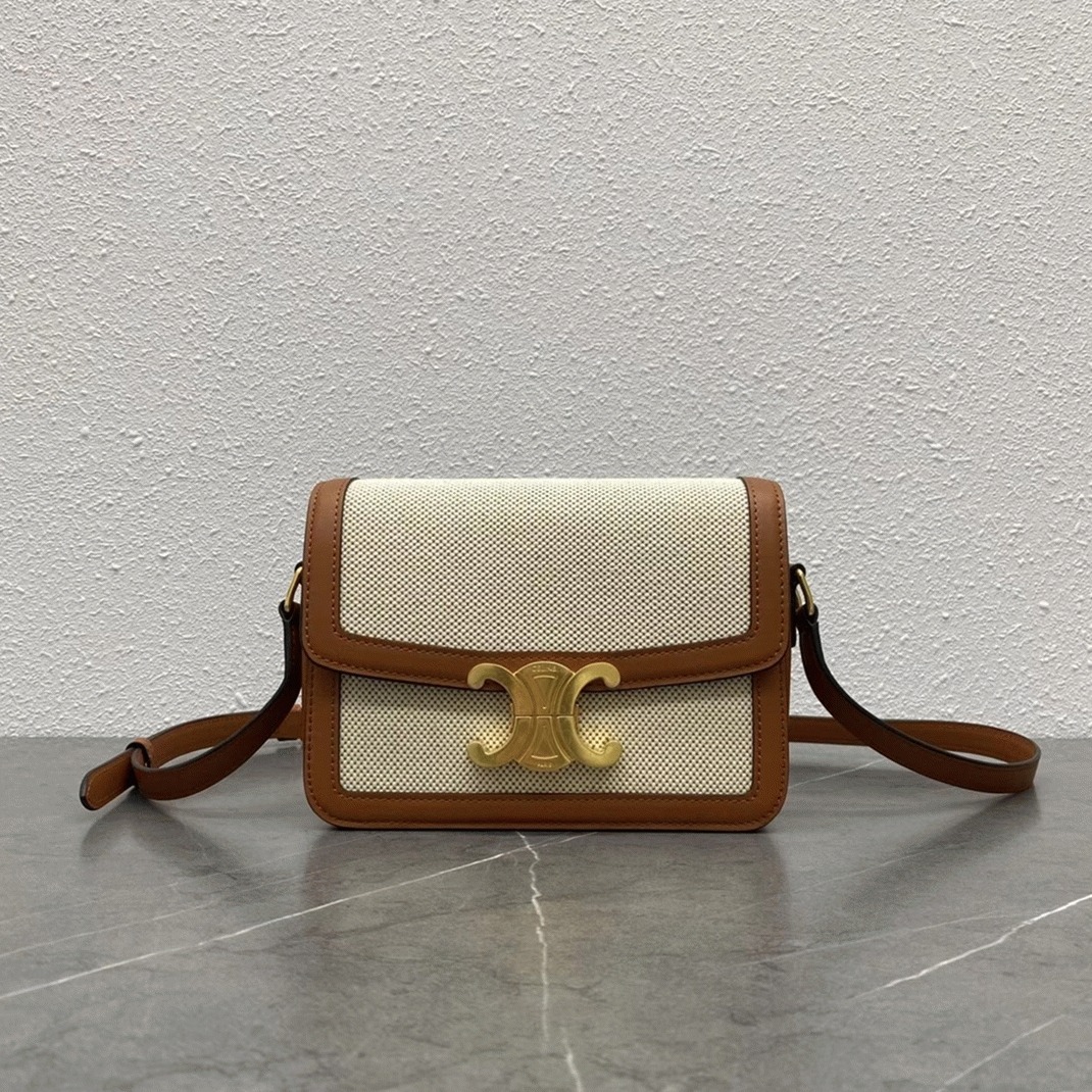 Top Quality Fake Celine Triomphe Teen Bag In Textile angle 5