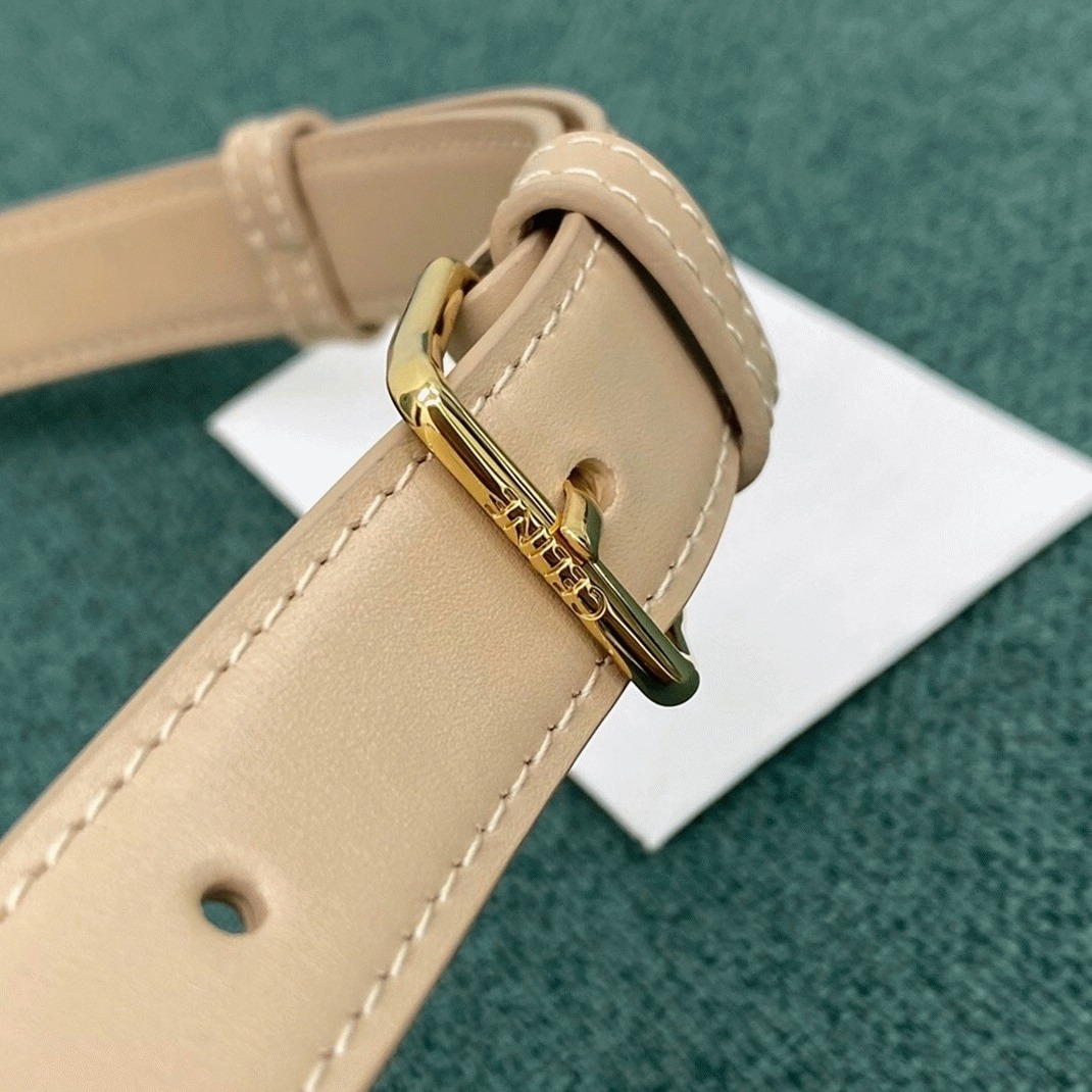 Top Quality Imitation Celine Triomphe Medium Bag In Nude angle 4