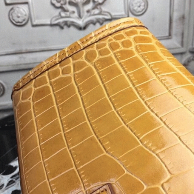 Camarel Replica AAA Hermes Jige Elan 29 Earth Tone Clutch angle 4