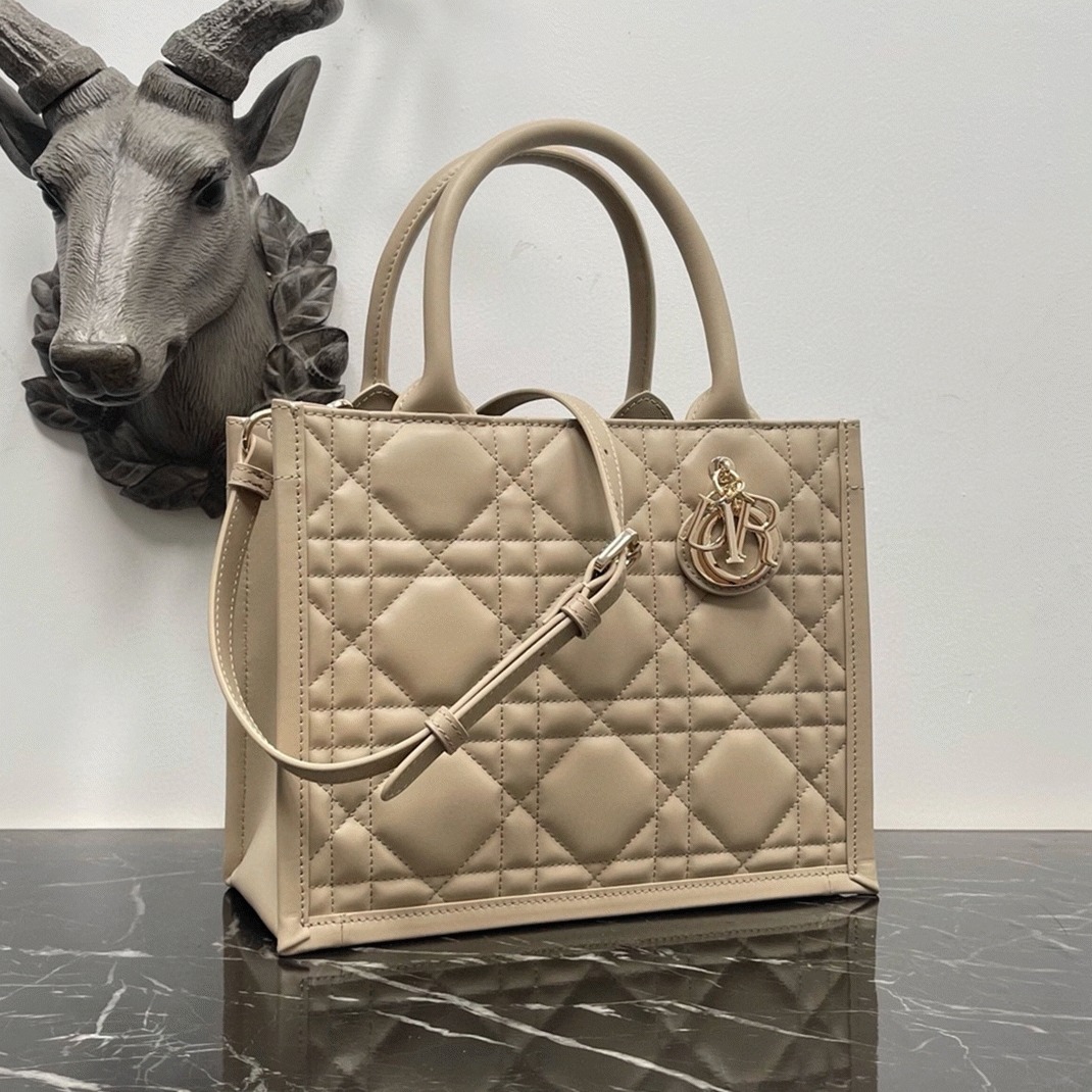Dior Small Book Tote Bag Replica with Strap in Beige angle 4