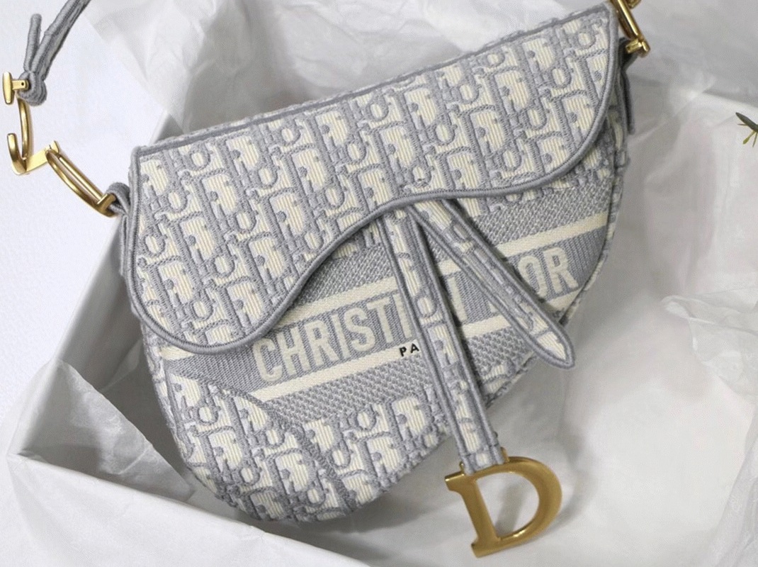 Dior Saddle Bag Knockoff in Grey Dior Oblique Embroidery angle 2