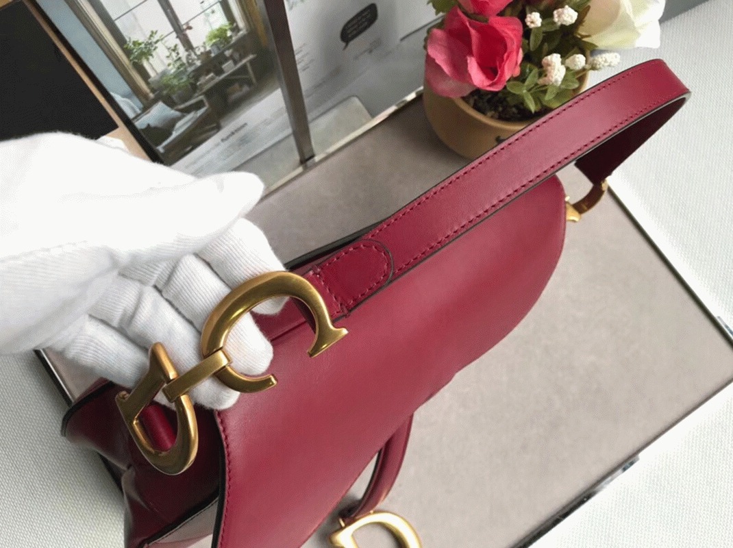Dior Saddle Bag Replica in Red Smooth Calfskin angle 2