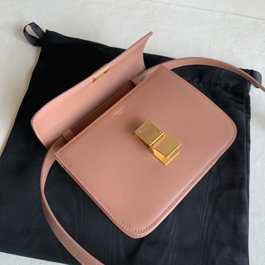 Top Quality Replica Celine Classic Box Teen Bag In Antique Rose angle 2