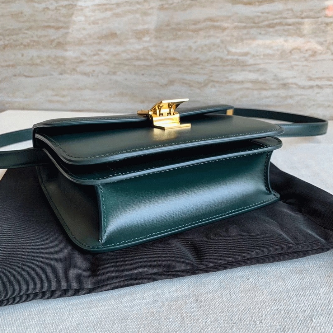 Top Quality Fake Celine Classic Box Medium Bag In Amazone angle 5