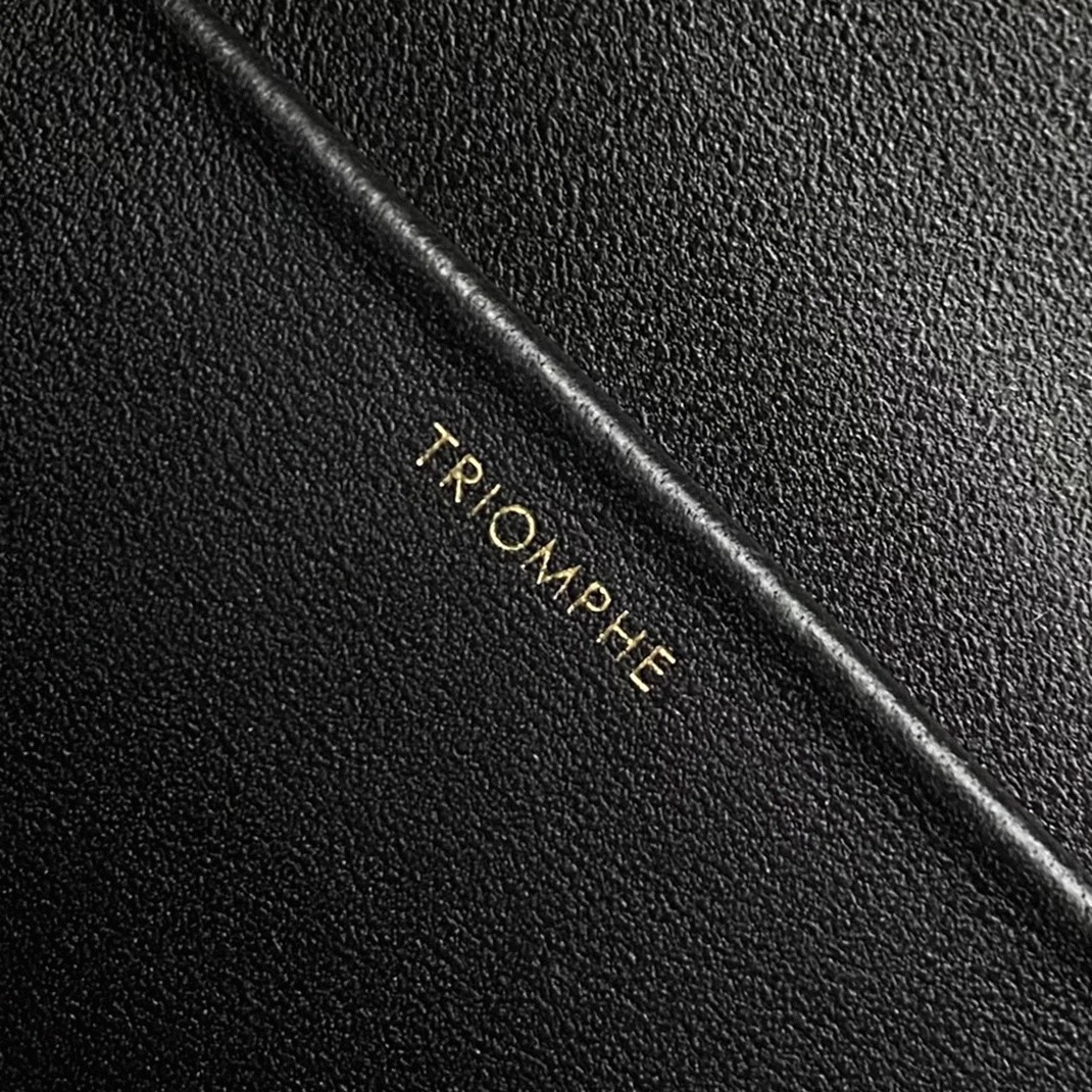 Top Quality Faux Celine Triomphe Medium Bag In Black angle 2