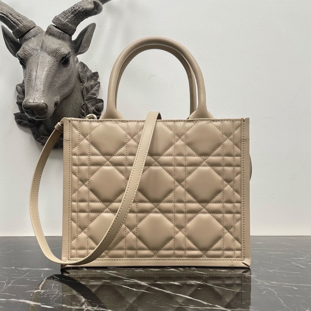 Dior Small Book Tote Bag Replica with Strap in Beige angle 2