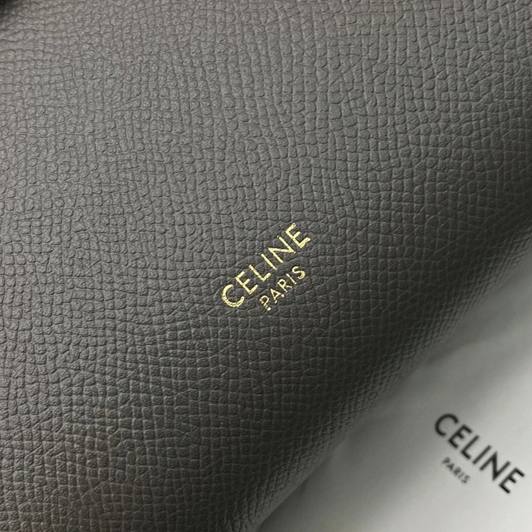 Celine Belt Nano Bag Fake in Grey angle 2