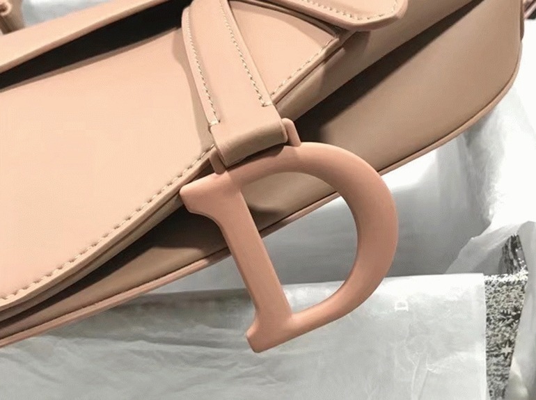 Dior Saddle Bag Replica in Blush Ultramatte Calfskin angle 5