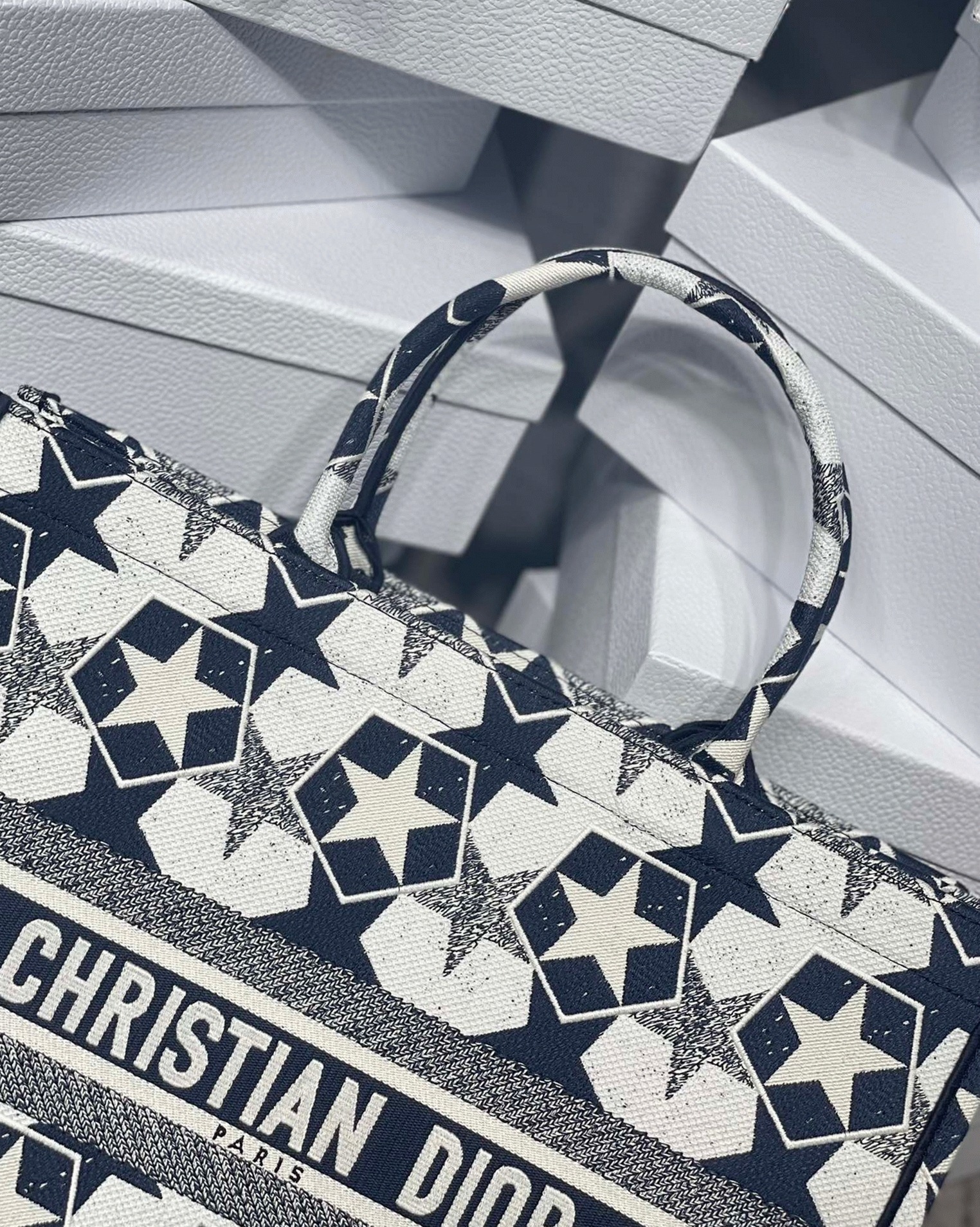 Dior Large Book Tote Bag Knockoff in Blue and White Dior Etoile Embroidery angle 2