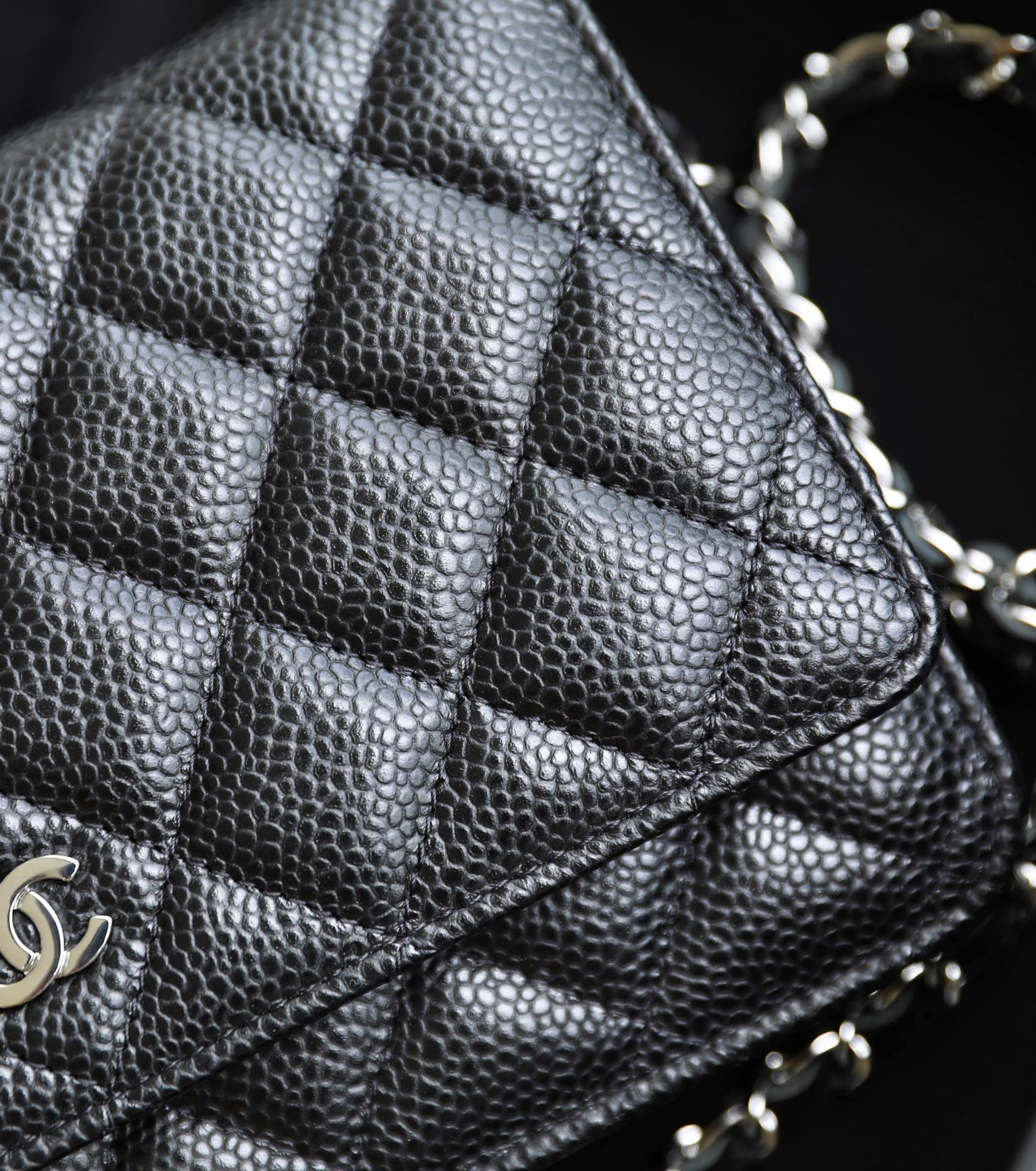 Chanel Woc bag angle 2