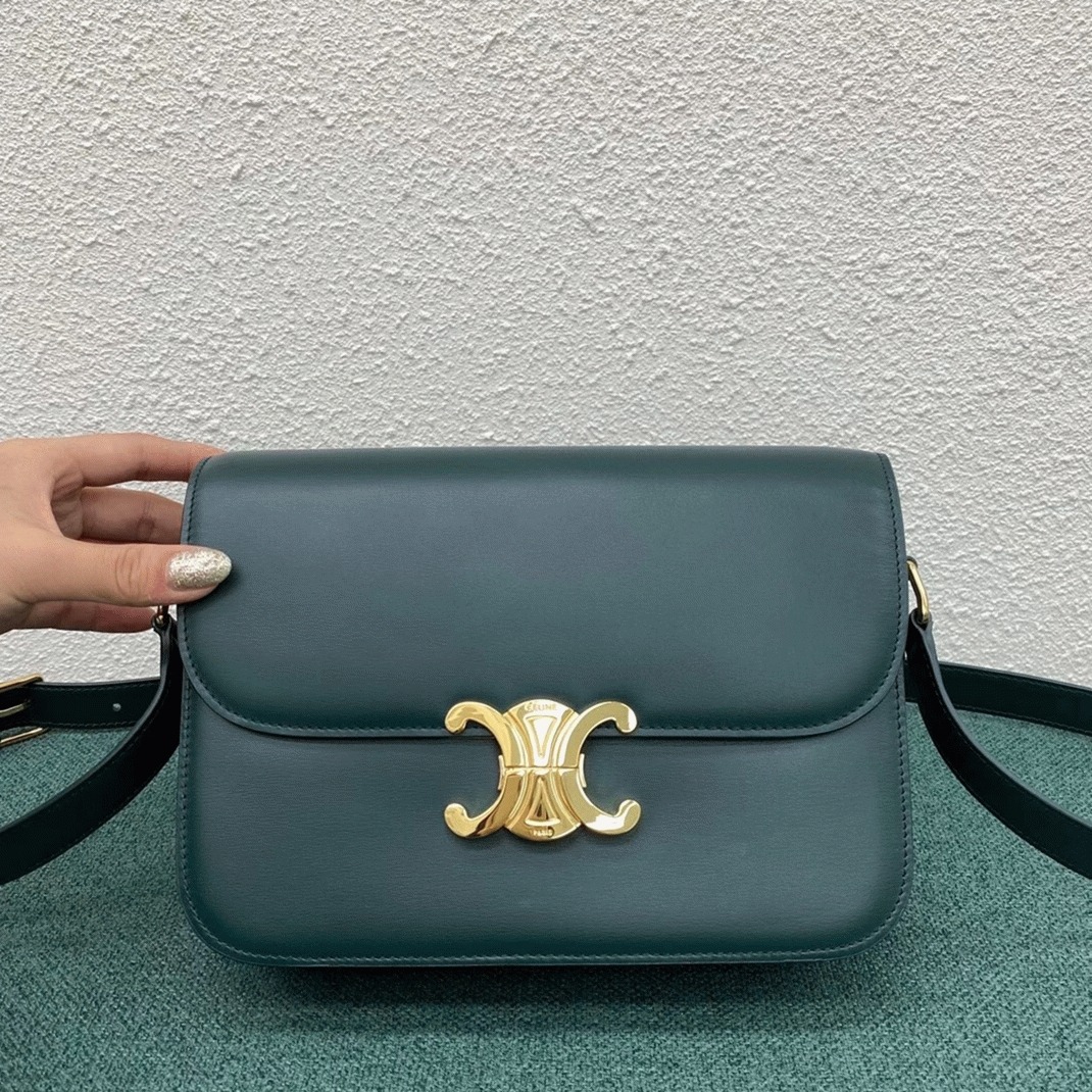 Top Quality Fake Celine Triomphe Medium Bag In Amazone angle 2