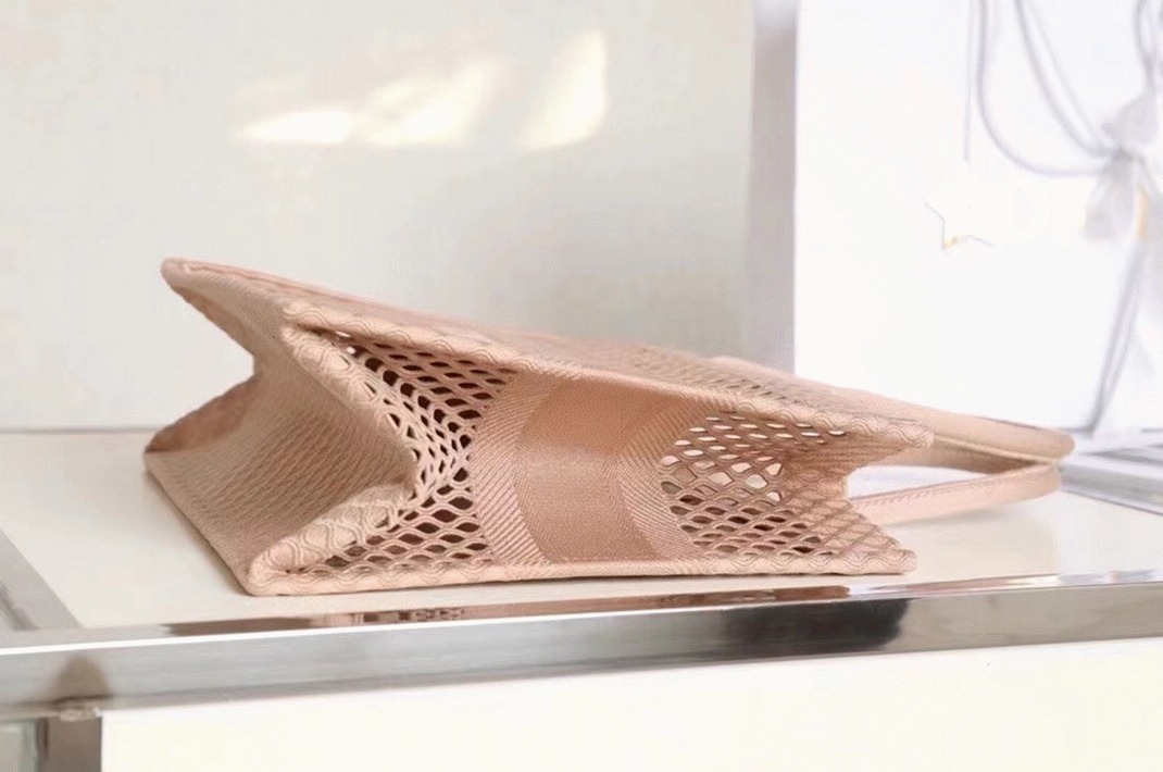 Dior Large Book Tote Bag Replica in Beige Mesh Embroidery angle 5
