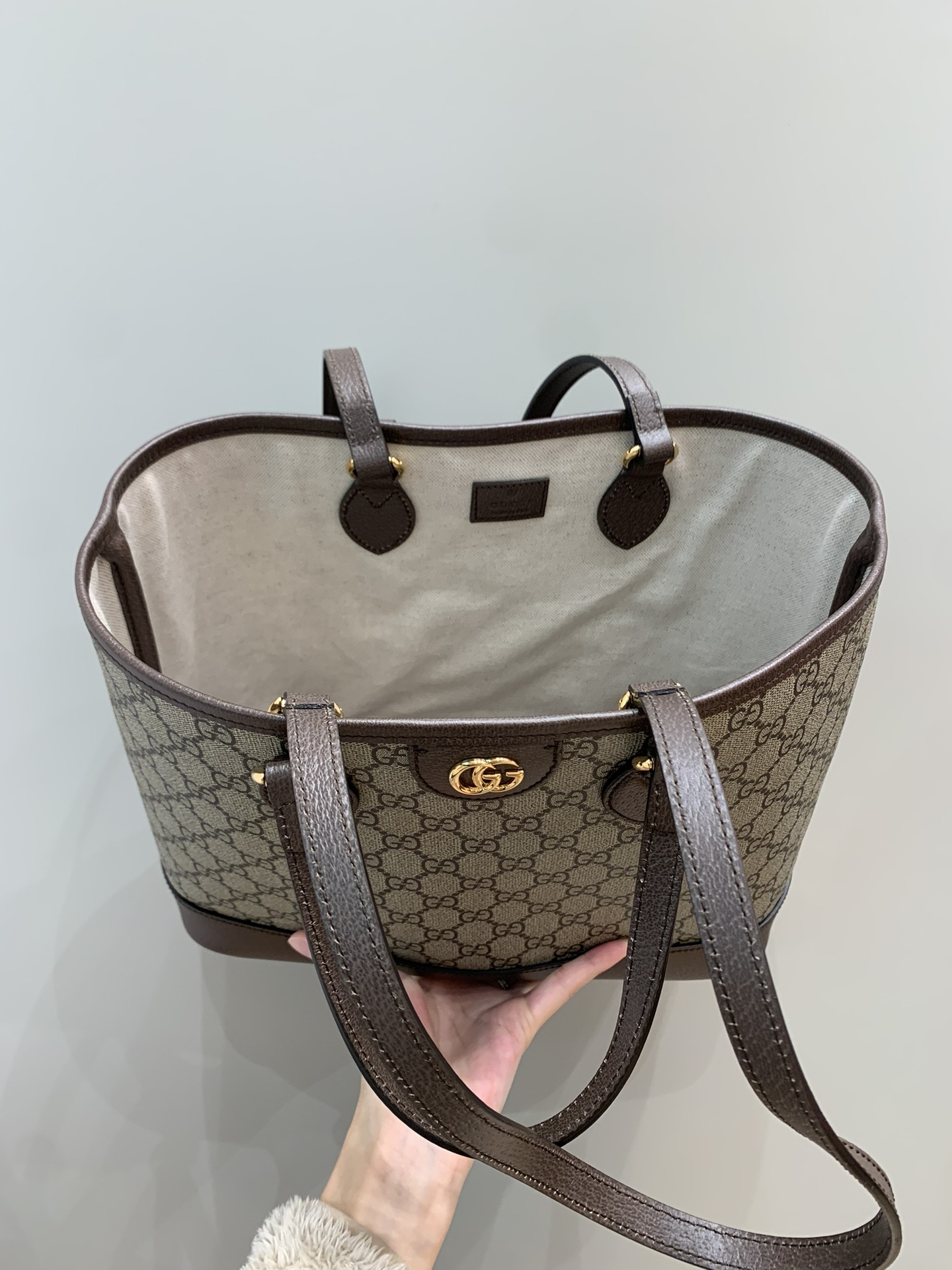 Ophidia mini tote bag angle 3