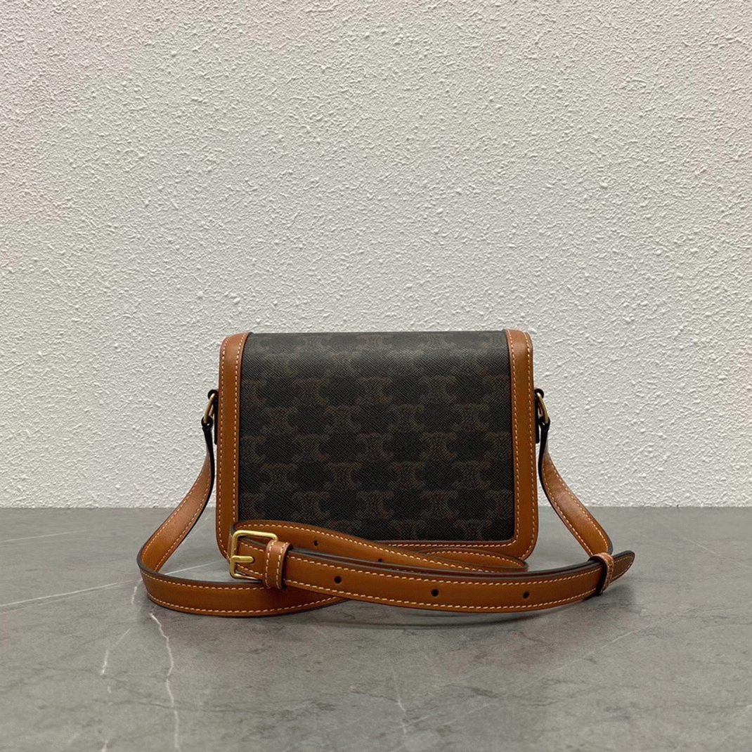 Top Quality Replica Celine Triomphe Teen Bag In Black Triomphe Canvas angle 4