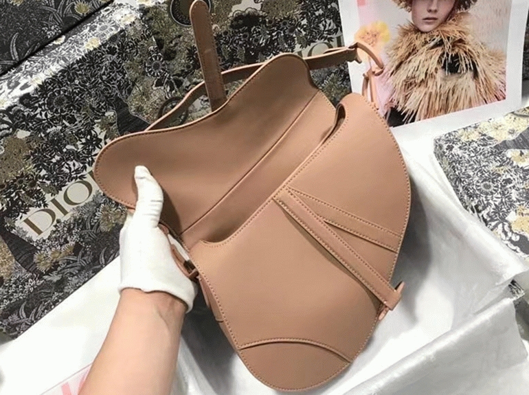 Dior Saddle Bag Replica in Blush Ultramatte Calfskin angle 3