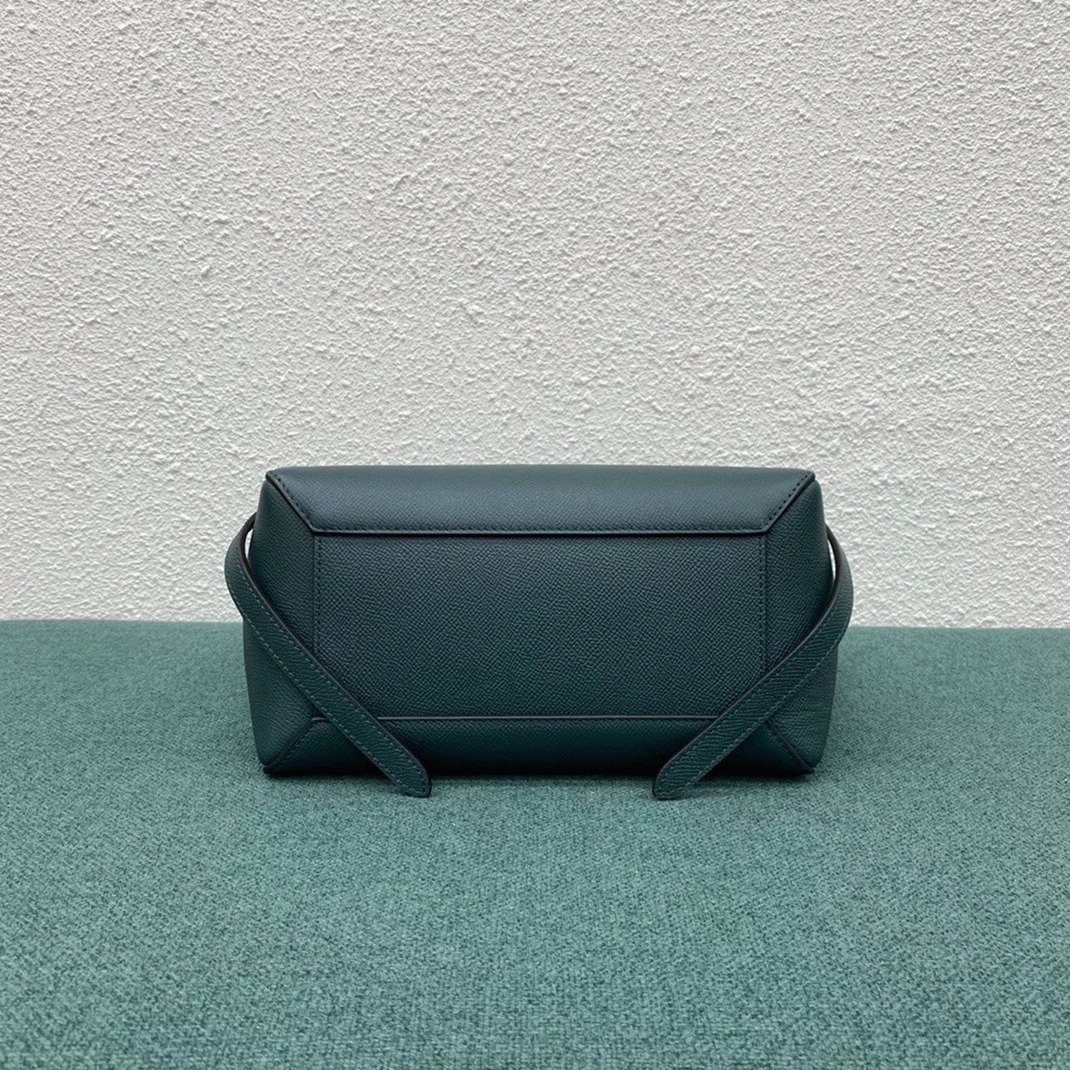 Celine Micro Belt Bag Fake in Amazone angle 5