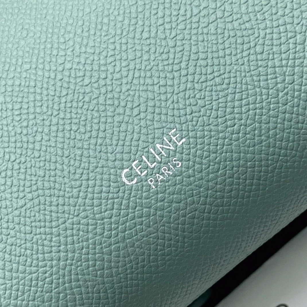 Celine Belt Nano Bag Fake in Celadon angle 5