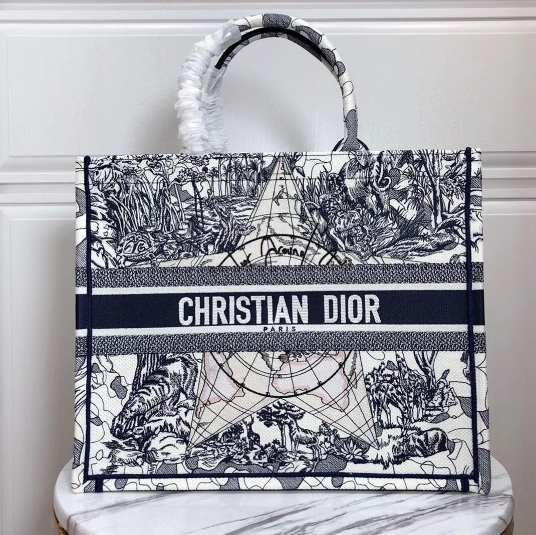 Dior Large Book Tote Bag Knockoff in Around The World Embroidered Canvas angle 3
