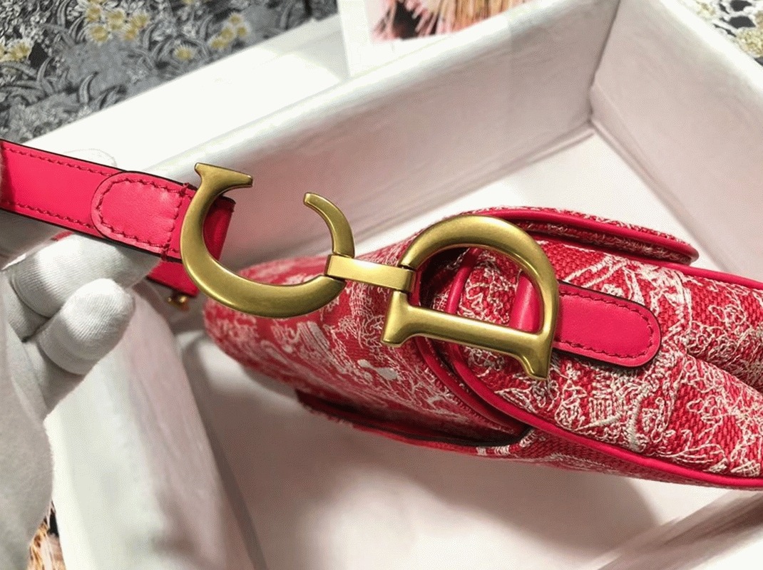 Dior Saddle Bag Imitation in Red Toile de Jouy Reverse Jacquard angle 5